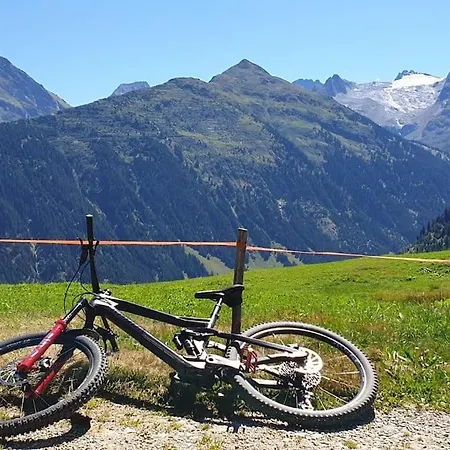 Bijou In Den Bergen Disentis