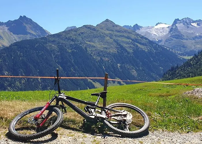 Bijou In Den Bergen Disentis